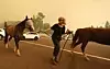 En kvinne flyktet fra flammehavet sammen med to hester. Foto: Robyn Beck / AFP