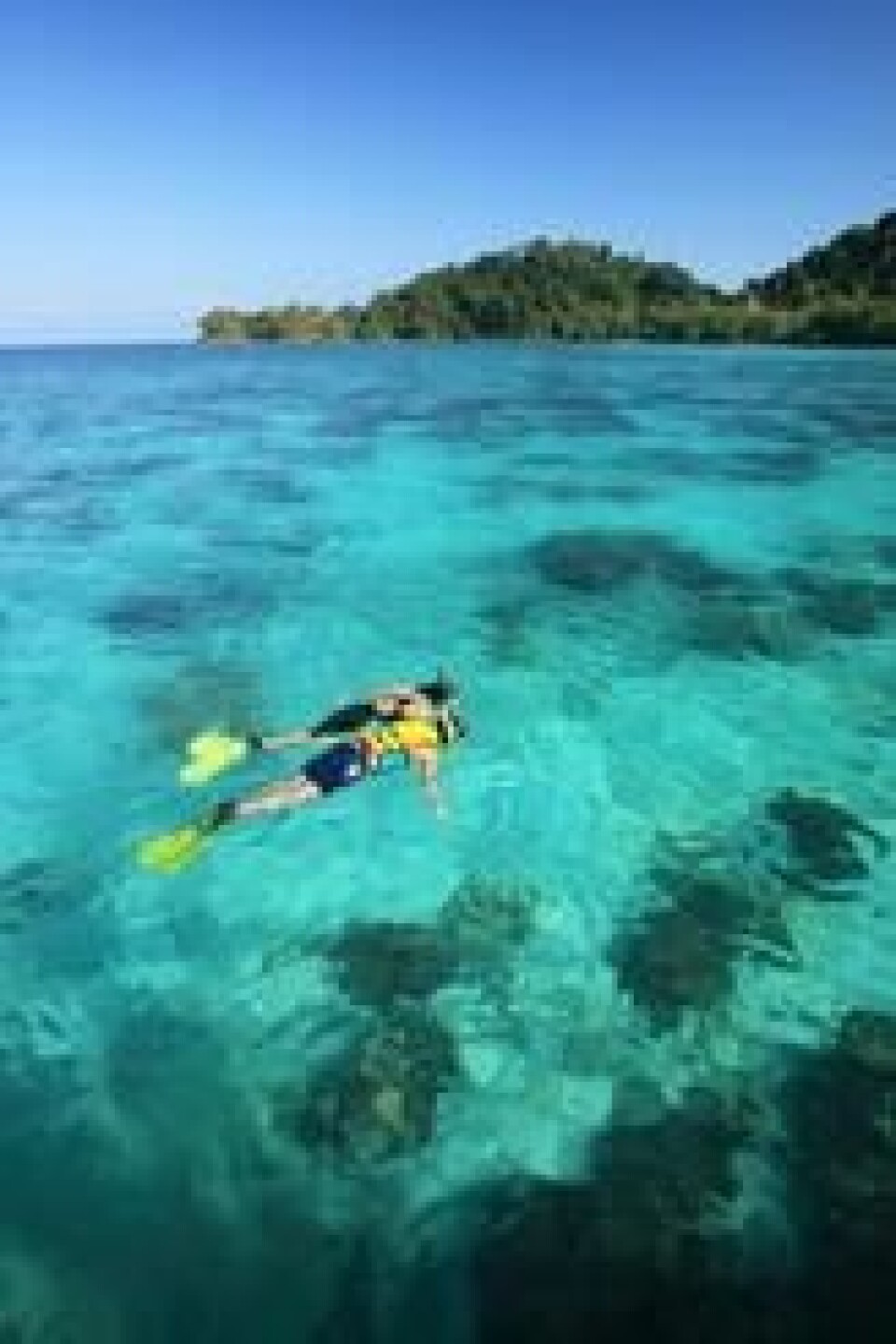UNDER VANN: Dykking er en svært populær aktivitet i Thailand, som her utenfor Koh Samui. UNDER VANN: Dykking er en svært populær aktivitet i Thailand, som her utenfor Koh Samui.