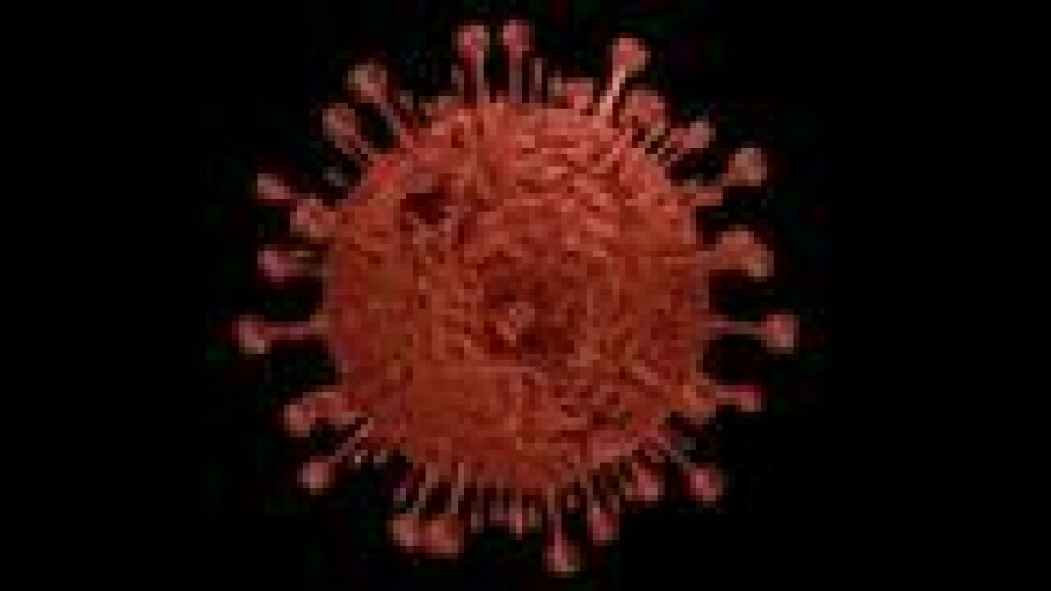 Denne 3D-modellen viser hvordan en Coronavirus-celle ser ut. Virusets karakteristiske pigger er dets styrke, og det er også slik viruset fikk sitt navn. Denne 3D-modellen viser hvordan en Coronavirus-celle ser ut. Virusets karakteristiske pigger er dets styrke, og det er også slik viruset fikk sitt navn. Foto: NTB