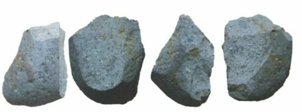 Disse knivene av stein fra Etiopia er mer enn 2,5 millioner år gamle. Det er også funnet eldre verktøy, men de ble antagelig brukt til å slå med, ikke skjære. (Foto: Fra Studie av David R. Braun m.fl. / PNAS 2019) Disse knivene av stein fra Etiopia er mer enn 2,5 millioner år gamle. Det er også funnet eldre verktøy, men de ble antagelig brukt til å slå med, ikke skjære. (Foto: Fra Studie av David R. Braun m.fl. / PNAS 2019)