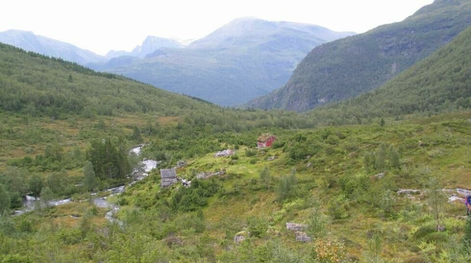 DNT Oslo og omegn vil sette opp en turisthytte ved Sunndalssetra i Stryn kommune. Foto: Arnfinn Kjelland/lokalhistoriewiki.no