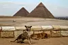 Kehops- og Khafrepyramidene ved Giza-platået. NTB Scanpix/AFP.