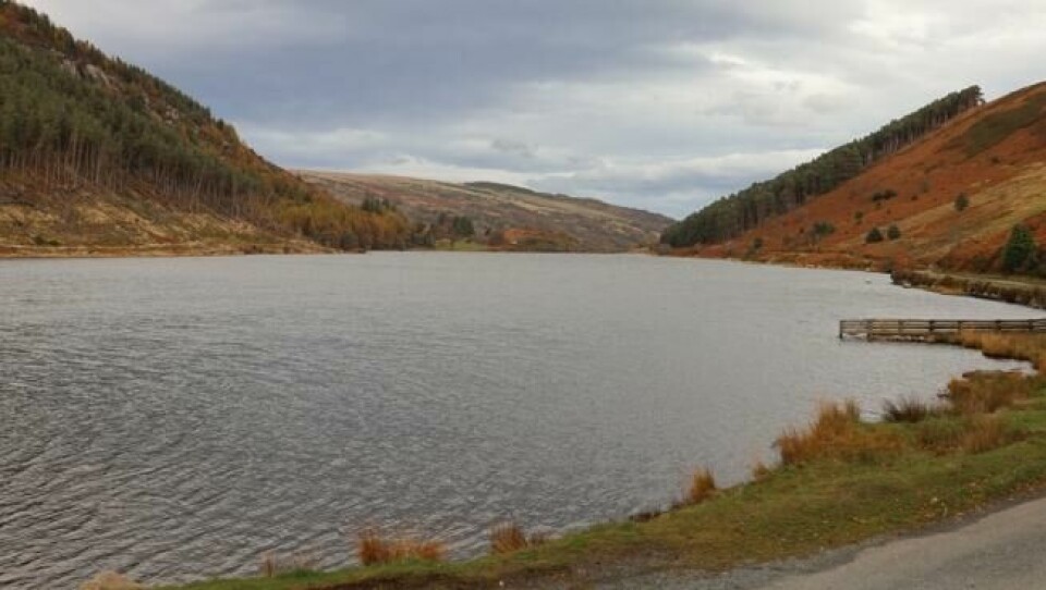 Innsjøen Geironvdd er en av 50 små, idylliske innsjøer i Snowdonia nasjonalpark i Wales. Det er et populært turområde, og mange padler kano på innsjøen. Innsjøen Geironvdd er en av 50 små, idylliske innsjøer i Snowdonia nasjonalpark i Wales. Det er et populært turområde, og mange padler kano på innsjøen. Foto: Elisabeth Bergskaug/ABC Nyheter