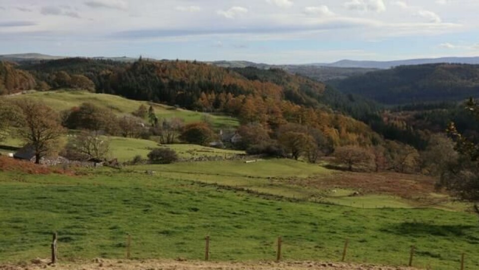 Landskapet i Snowdonia viser seg fram i all sin høstprakt i oktobersolen. Landskapet i Snowdonia viser seg fram i all sin høstprakt i oktobersolen. Foto: Elisabeth Bergskaug/ABC Nyheter