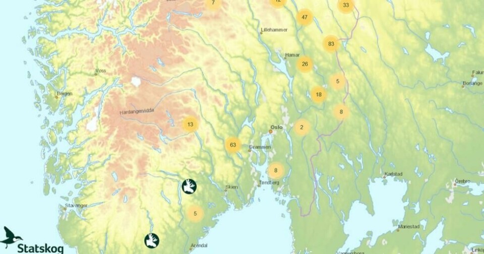 Mange jegere er nysgjerrige på hvor mange elg som blir felt i jaktsesongen. Skjermdump fra elgbørsen. Mange jegere er nysgjerrige på hvor mange elg som blir felt i jaktsesongen. Skjermdump fra elgbørsen.