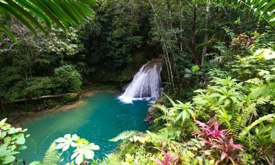 Et innbydende fossefall i Ocho Rios. Foto: johany/istock.com Et innbydende fossefall i Ocho Rios. Foto: johany/istock.com