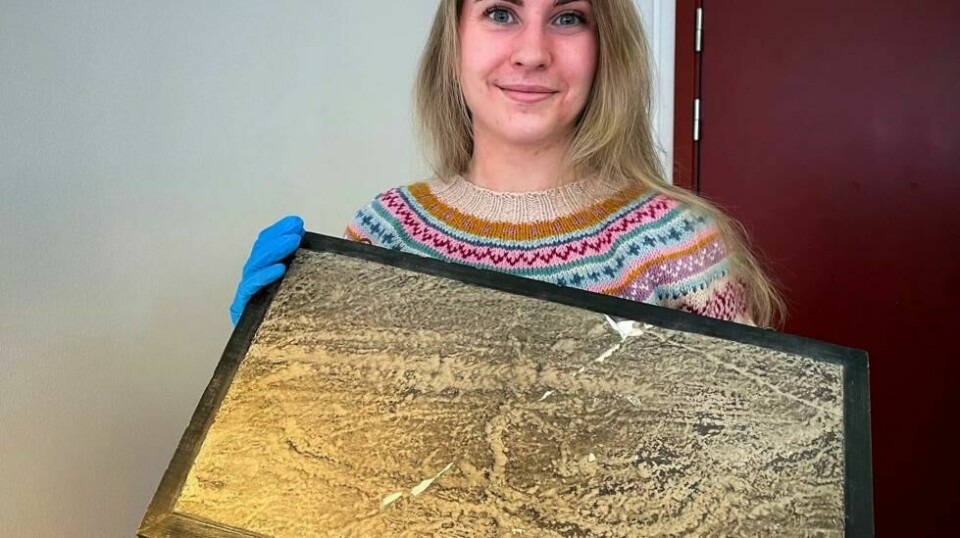 Henriette Storbækken har nettopp skrevet masteroppgave om det som hendte. Her holder hun gipsavstøpningen av skiløperen som ble gjenfunnet i Trondheim.