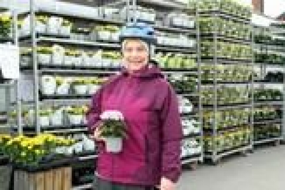 BLOMSTERKUPP: På parkeringsplassen til Schrader Gartneri har Eli Amalia Tveita fra Nesoddtangen syklet innom og sikret seg blomster til en billig penge. BLOMSTERKUPP: På parkeringsplassen til Schrader Gartneri har Eli Amalia Tveita fra Nesoddtangen syklet innom og sikret seg blomster til en billig penge. Foto: Thomas Vermes / ABC Nyheter