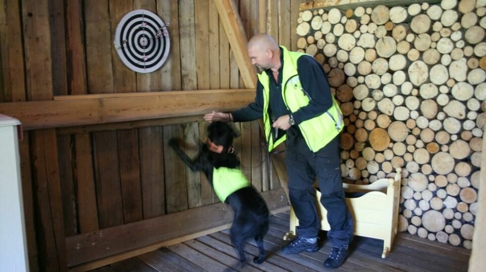 I snart ti år har DogPoint drevet med veggedyrhunder, og i løpet av den tiden har daglig leder Tor Iljar truffet på mange som sliter med psyken på grunn av de små skadedyrene. Her er han sammen med Demi (9) som var Norges første veggedyrhund.