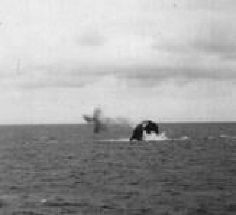 I 1971 sprengte det britiske forsvarert av toppen av Rockall, for å gjøre den flatere og mer egnet til å huse en framtidig fyrlykt. Foto: gov.uk. I 1971 sprengte det britiske forsvarert av toppen av Rockall, for å gjøre den flatere og mer egnet til å huse en framtidig fyrlykt. Foto: gov.uk.