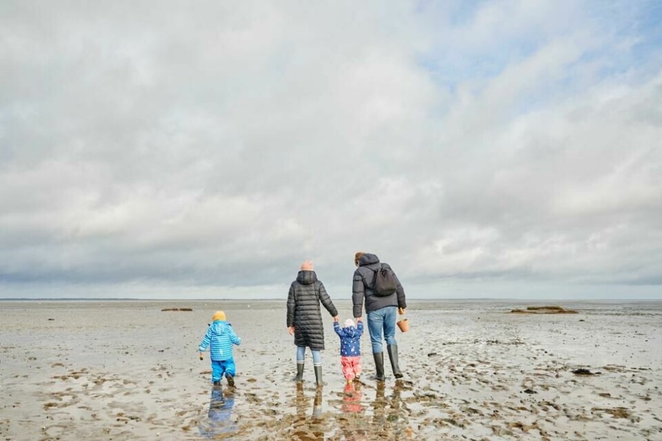En familie på vandring ved lavvann i Wittmund i Vadehavet. En familie på vandring ved lavvann i Wittmund i Vadehavet. Foto: German National Tourist Board (GNTB)