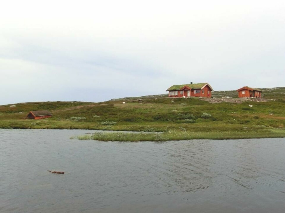 Rangeldalen er ei av Statskogs nye utleiehytter i Meråker. Rangeldalen er ei av Statskogs nye utleiehytter i Meråker. Foto: Frode Sonflå