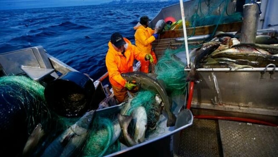 Skreifiske utenfor Senja i 2015. Foto: Cornelius Poppe / NTB scanpix Skreifiske utenfor Senja i 2015. Foto: Cornelius Poppe / NTB scanpix