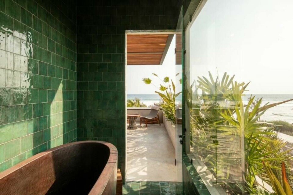 Hotelito Musa Hotelito Musa Foto: Alejandro Ramirez Orozco