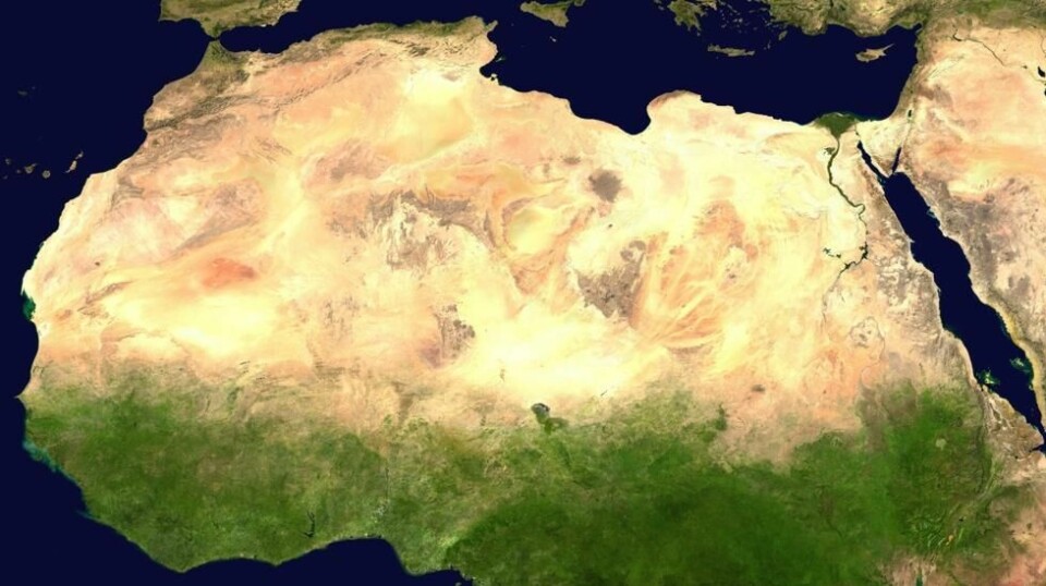 Sahel strekker seg fra Senegal i vest til Djibouti i øst. Langs hele linjen der Sahara går over til savanne bygger man nå en grønn 'mur' mot ørkenen. Den oppsiktsvekkende planen er allerede godt i gang. Sahel strekker seg fra Senegal i vest til Djibouti i øst. Langs hele linjen der Sahara går over til savanne bygger man nå en grønn 'mur' mot ørkenen. Den oppsiktsvekkende planen er allerede godt i gang. Foto: NASA