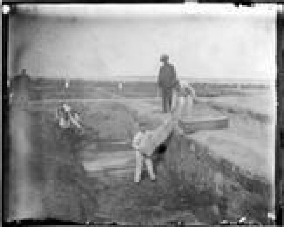 Første offisielle begravelse fant sted i 1869. Dette bildet er fra cirka 1890 og viser kister som plasseres på toppen av hverandre. Foto: Wikimedia Første offisielle begravelse fant sted i 1869. Dette bildet er fra cirka 1890 og viser kister som plasseres på toppen av hverandre. Foto: Wikimedia