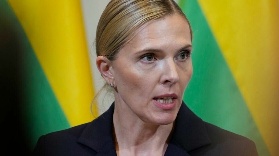Litauens innenriksminister Agne Bilotaite sier dronemuren skal strekke seg fra Norge til Polen.