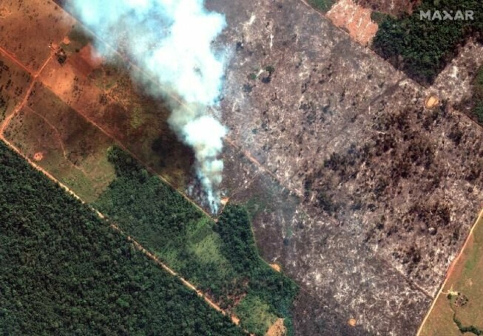 Satellittbilde fra nord i Brasil der skogbrannene har herjet med større styrke og intensitet enn tidligere. Satellittbilde fra nord i Brasil der skogbrannene har herjet med større styrke og intensitet enn tidligere. Foto: Maxar Technologies / AP