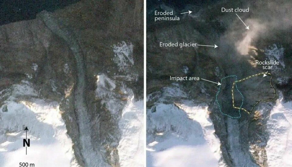 Det voldsomme fjellskredet kunne ses fra rommet. Det er tydelig forskjell på satelittbildene tatt noen dager før, og 7 minutter etter skredet. Det voldsomme fjellskredet kunne ses fra rommet. Det er tydelig forskjell på satelittbildene tatt noen dager før, og 7 minutter etter skredet. Foto: Planetlabs