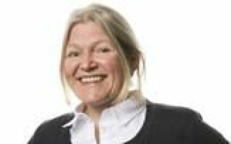 Ellen Bruzell, faglig leder for VKM. Ellen Bruzell, faglig leder for VKM. Foto: Vitenskapskomiteen for mat og miljø
