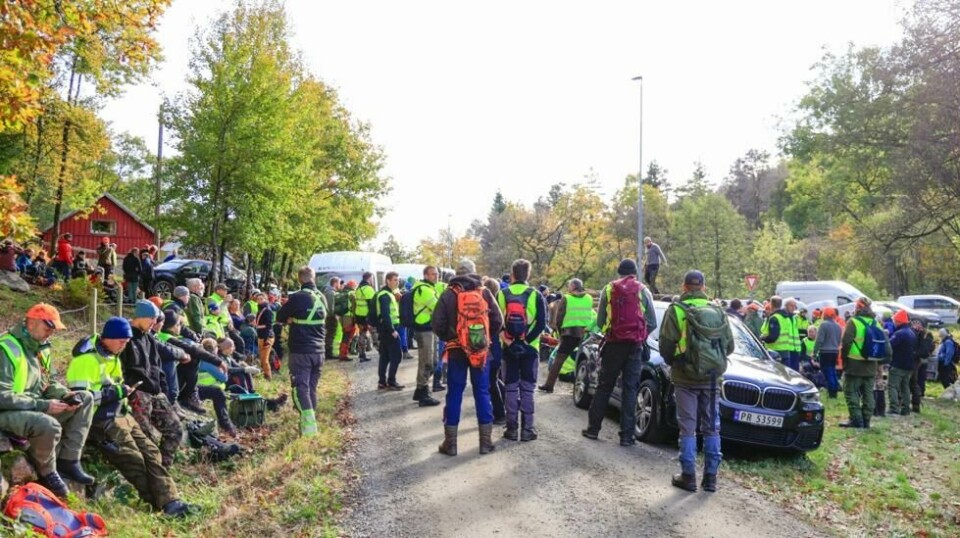 Et stort antall frivillige deltok mandag i søket etter en 7 år gammel gutt nordvest for Vigeland i Lindesnes kommune. Gutten kom bort under en jakttur med familien søndag ettermiddag. Bildene viser stort antall søke mannskap langs gamle E39 ved Steinsland vest for Vigeland før de skal ut i terrenget.