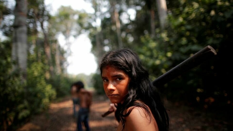 Menneskene som tilhører stammene i Amazonas lever på en diett som er langt nærmere slik mange folk spiste før i tiden, hvor konserveringsmiddel ikke forekommer. Menneskene som tilhører stammene i Amazonas lever på en diett som er langt nærmere slik mange folk spiste før i tiden, hvor konserveringsmiddel ikke forekommer. Foto: Ueslei Marcelino / Reuters/NTB