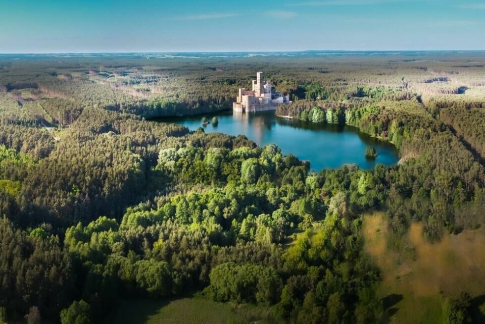 Stobnica Castle ligger plassert i naturskjønne omgivelser i Polen, omkranset av vann og grønne trær. Stobnica Castle ligger plassert i naturskjønne omgivelser i Polen, omkranset av vann og grønne trær. Foto: Jakub Zerdzicki / Shutterstock / NTB