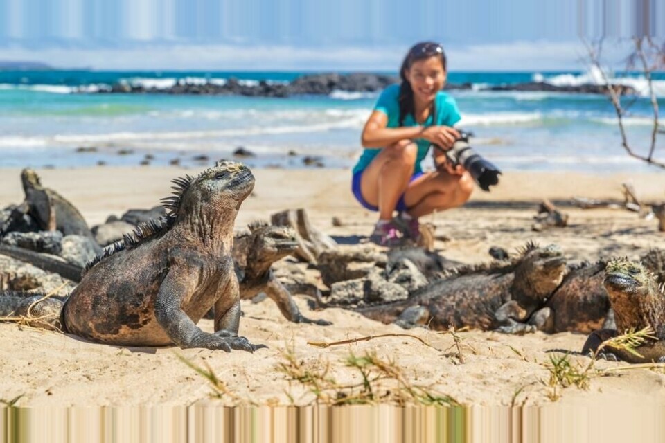 Ventelisten på båtutflukter til Galapagos’ fabelaktige øyrike blir stadig lengre. Og det koster ekstra penger for turistene å slippe til. Ventelisten på båtutflukter til Galapagos’ fabelaktige øyrike blir stadig lengre. Og det koster ekstra penger for turistene å slippe til. Foto: Shutterstock / NTB