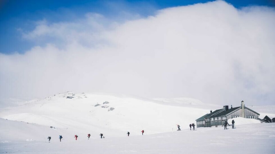 Krækkja er en av mange betjente DNT-hytter på Hardangervidda.