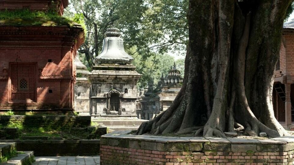 Nepal, her representert av tempelet Pashupatinath i hovedstaden Katmandu, er billigste reisemål sammenlignet med Norge akkurat nå, ifølge valutaselskap. Foto: Colourbox.com