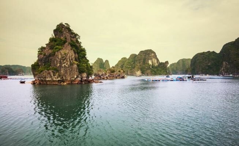 Halong Bay i Vietnam er et yndet feriemål. Halong Bay i Vietnam er et yndet feriemål. Foto: COLOURBOX