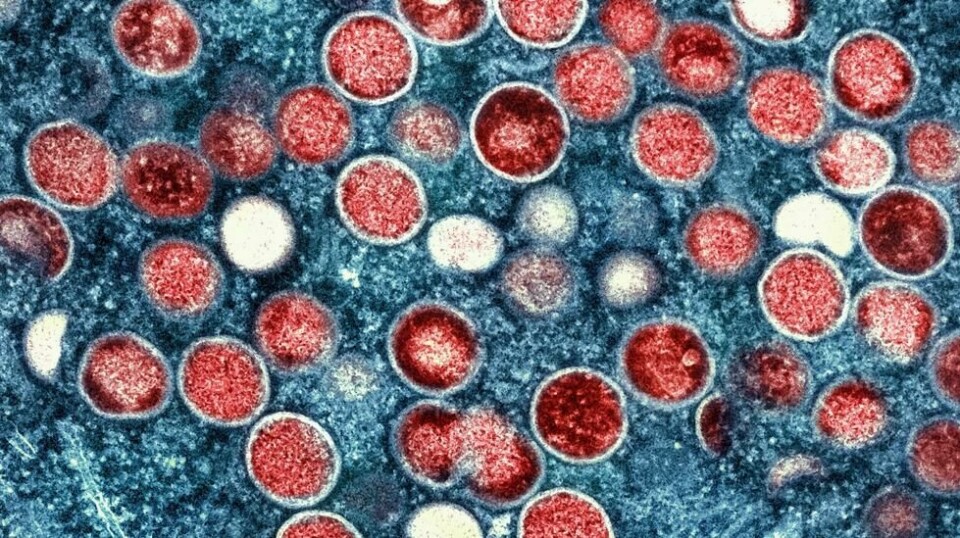 Mpox fotografert laboratorium.