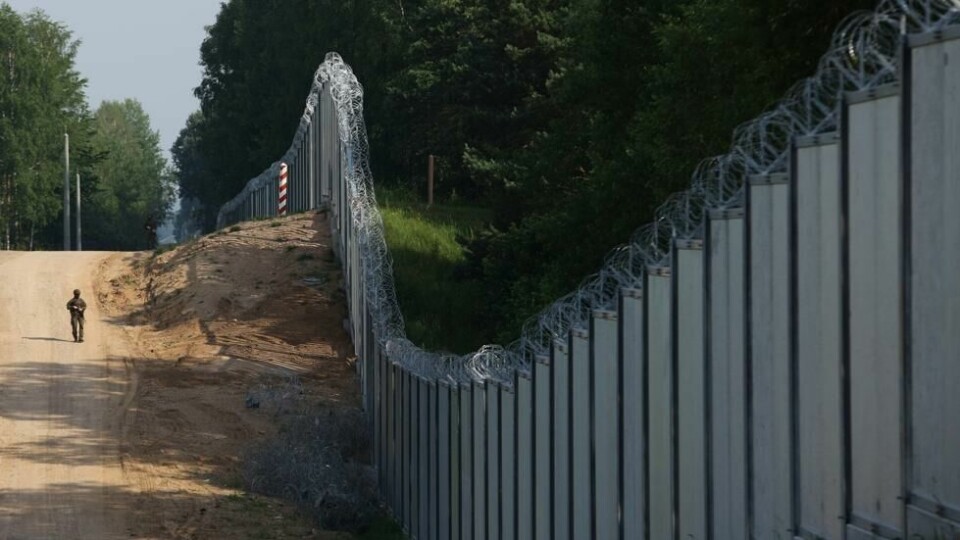 En polsk grensevakt patruljerer området ved en metallmur på grensen mellom Polen og Hviterussland, nær Kuznice i Polen. En polsk grensevakt patruljerer området ved en metallmur på grensen mellom Polen og Hviterussland, nær Kuznice i Polen. Foto: Michal Dyjuk / AP Photo / NTB