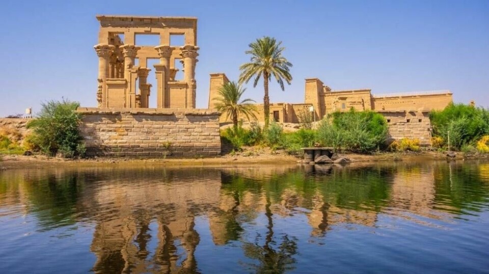 Før rundreisen i Egypt utarbeidet Amisol Travel et reiseprogram for et minimalt CO2-avtrykk ved hotellovernatting og transport. De uungåelige utslippene kompenseres av organisasjonen Economy of Love gjennom fornybare energikilder, kompostproduksjon og treplanting i den egyptiske ørkenen.