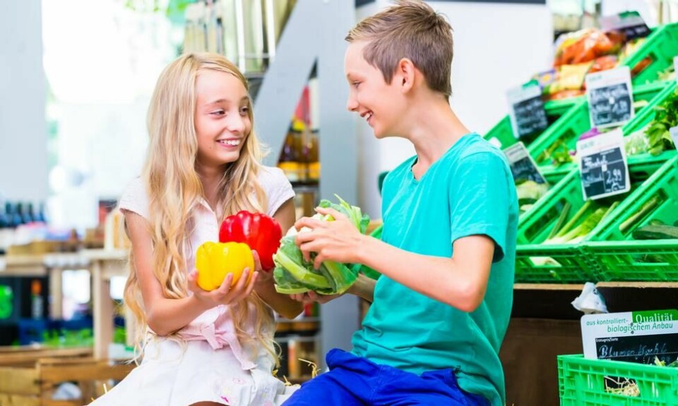 Matbutikken er en ypperlig mulighet til å gi barna en lærepenge, mener Silje Sandmæl. Foto: Colourbox Matbutikken er en ypperlig mulighet til å gi barna en lærepenge, mener Silje Sandmæl. Foto: Colourbox