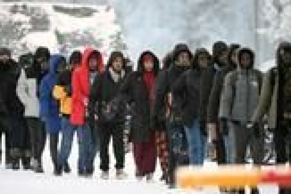 En gruppe migranter ankommer den internasjonale grenseovergangen ved Salla, Nord-Finland, 23. november 2023. En gruppe migranter ankommer den internasjonale grenseovergangen ved Salla, Nord-Finland, 23. november 2023. Foto: Lehtikuva / NTB / Reuters