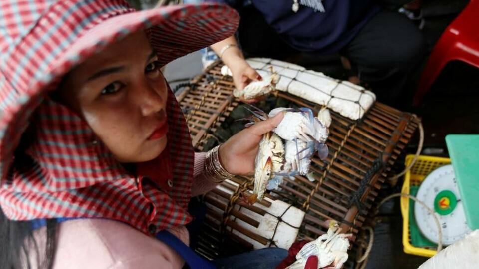 Markedene i Kambodsja er et bekymringsmoment for forskerne. Markedene i Kambodsja er et bekymringsmoment for forskerne. Foto: Samrang Pring / Reuters/NTB