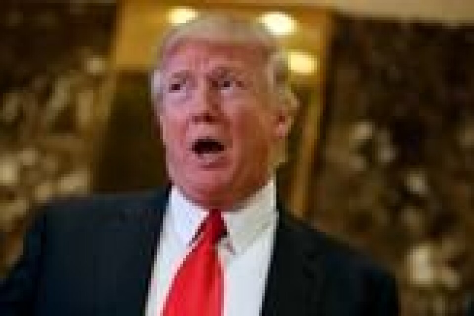 – Donald Trump er utilregnelig og farlig, mener Hedda Langemyr. – Donald Trump er utilregnelig og farlig, mener Hedda Langemyr. Foto: Evan Vucci / AP