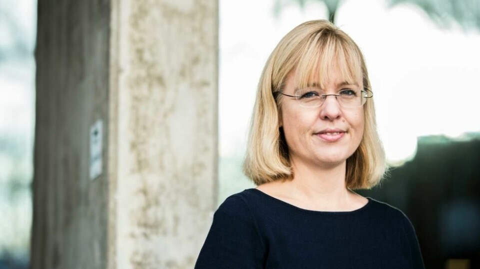 Direktør Åse Wetås i Språkrådet sier hun forventer at sjefer i det offentlige følger opp regelverket for språkbruk på samme måte som for eksempel regler for økonomistyring. Foto: Mariam Butt / NTB