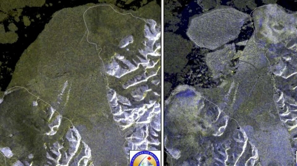 Satellittbildene over Milne-isfjellet tatt henholdsvis 30. juli og 4. august. I mellomtiden hadde 80 kvadratkilometer stort isfjell kollapset ut i havet.
