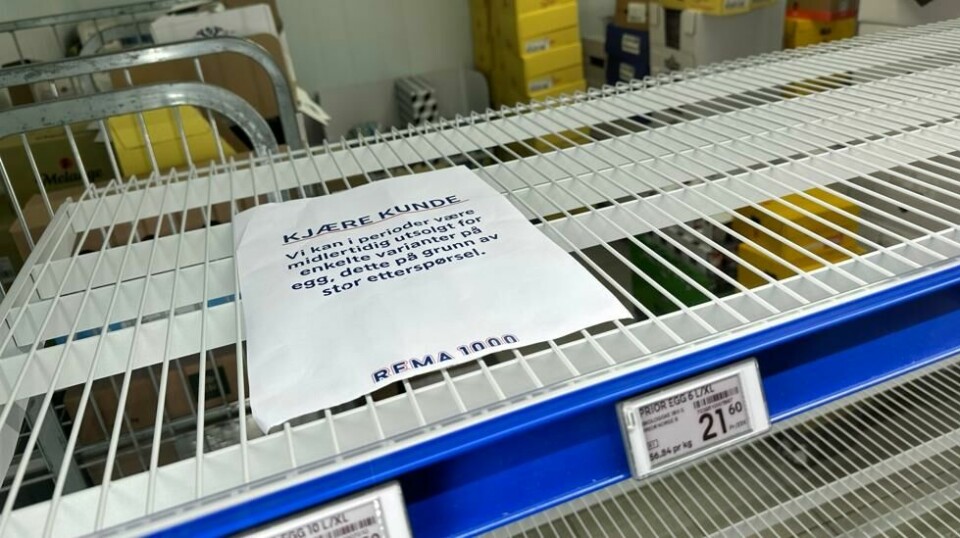 Alle dagligvarekjedene opplever mangel på egg, men foreløpig er det bare Rema som importerer. Foto: Cornelius Poppe / NTB