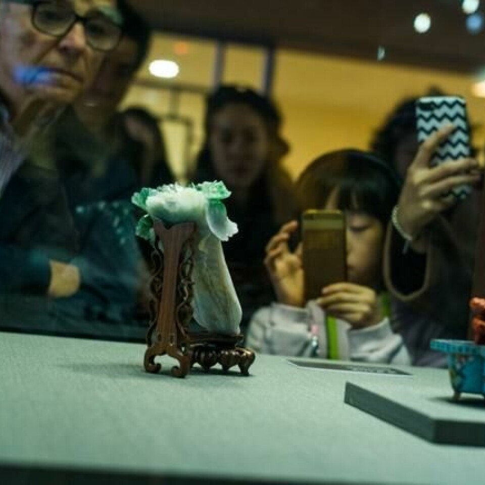 Det lille kålhodet, hogget ut av jade, er en av hovedattraksjonene i Taiwans Nasjonale Palassmuseum. Det lille kålhodet, hogget ut av jade, er en av hovedattraksjonene i Taiwans Nasjonale Palassmuseum. Foto: Amanda O. Berg