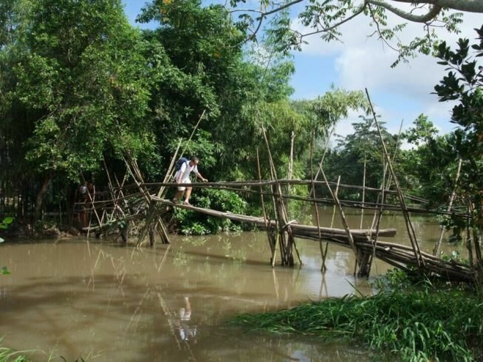 Monkey Bridge, Vietnam Monkey Bridge, Vietnam Foto: Yun Huang Yong/Flickr/CC