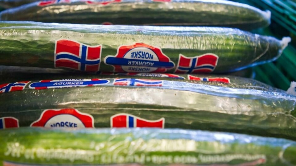 Salget av norskprodusert frukt og grønt steg til et rekordnivå i fjor, mye hjulpet av en god 2022-sesong. Det ble produsert 15 millioner flere agurker i Norge i fjor enn i 2021. Foto: Vegard Grøtt / NTB