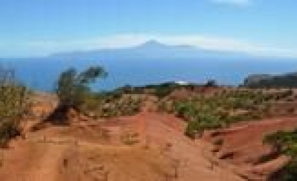 Hadde det ikke vært for Tenerifes imponerende fjell Teide i horisonten, kunne du nesten narret deg selv til å tro at du er i Australia. Foto: Sverre Bjørstad Graff. Hadde det ikke vært for Tenerifes imponerende fjell Teide i horisonten, kunne du nesten narret deg selv til å tro at du er i Australia. Foto: Sverre Bjørstad Graff.