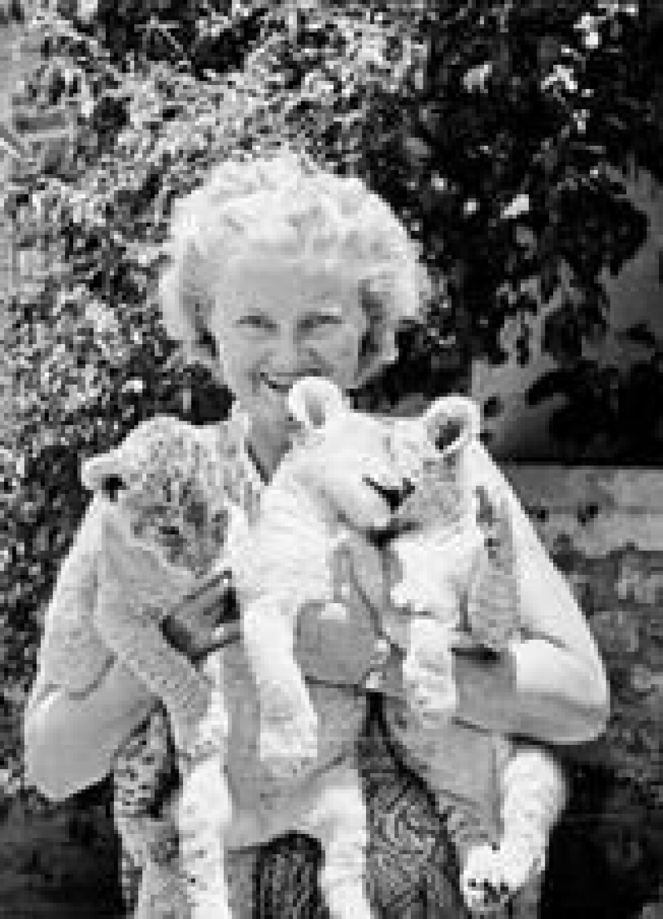 Joy Adamson med favnen full av løveunger etter at ektemannen George så seg nødt til å skyte moren deres. Foto: Elsa Conservation Trust Joy Adamson med favnen full av løveunger etter at ektemannen George så seg nødt til å skyte moren deres. Foto: Elsa Conservation Trust