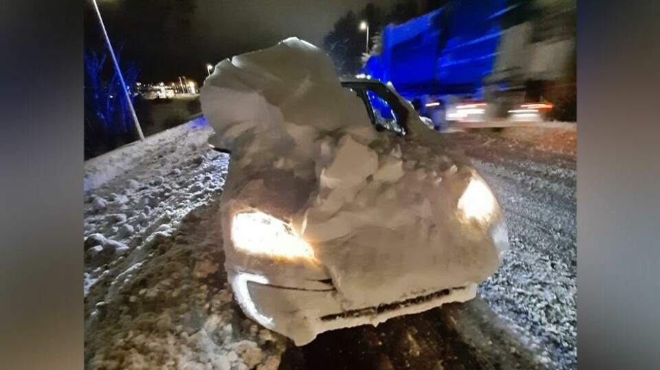 Dette synet fikk politiet i Danmark til å stanse bilisten sporenstreks.