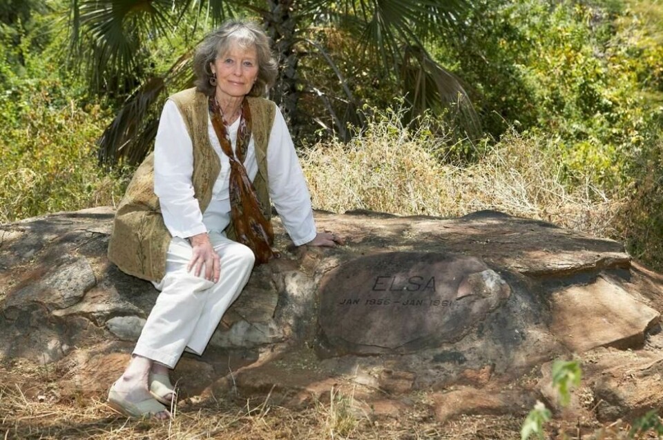 Virginia McKenna ved Elsas grav, der Joy Adamsons aske ble spredt etter hennes død i 1980. Foto: Mike Daines/Born Free Foundation Virginia McKenna ved Elsas grav, der Joy Adamsons aske ble spredt etter hennes død i 1980. Foto: Mike Daines/Born Free Foundation