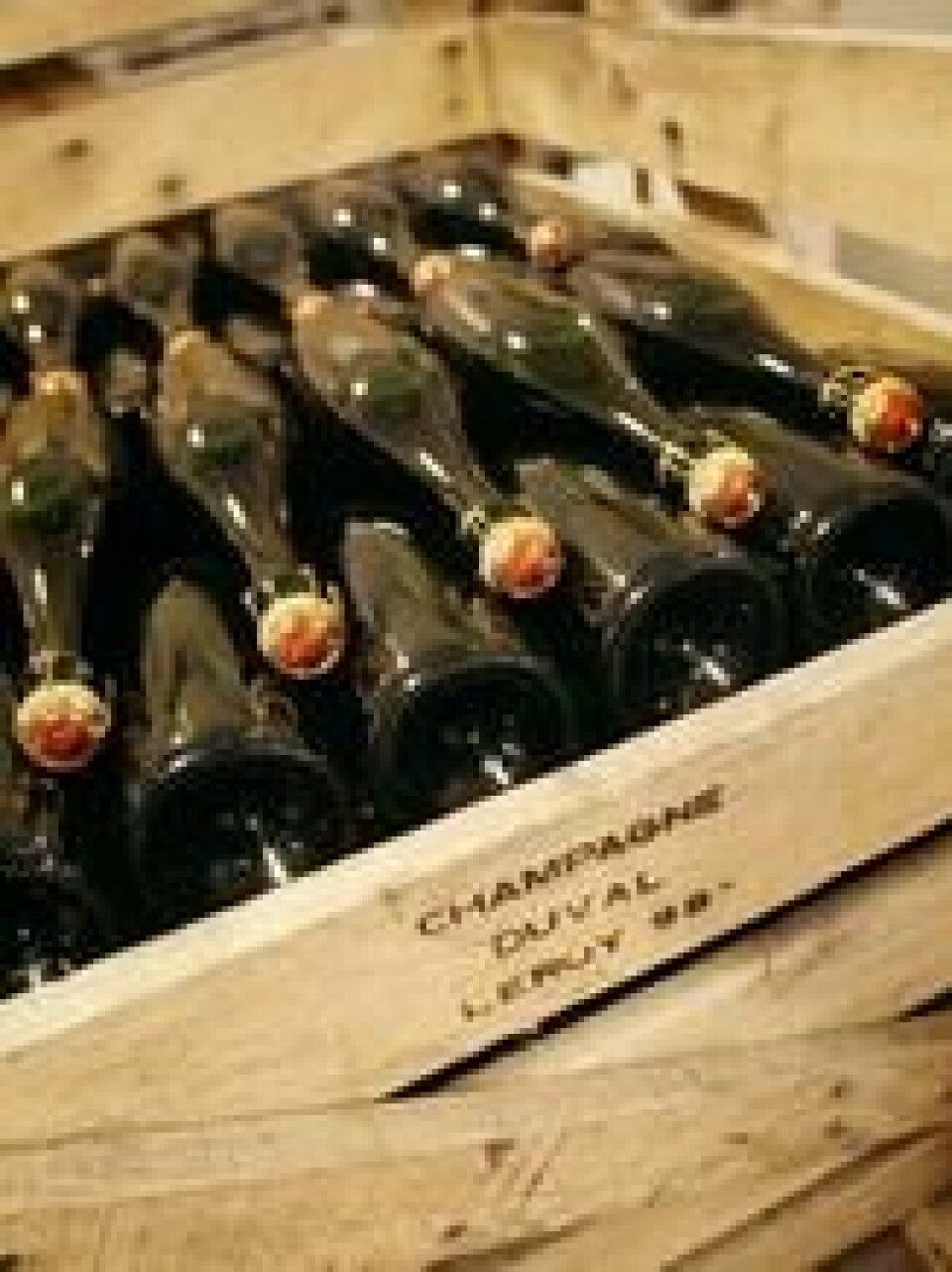 Champagne-huset Duval-Leroy er bare en av produsentene som nå har kvinnelige sjefer. 40 prosent har en kvinne som toppsjef. Champagne-huset Duval-Leroy er bare en av produsentene som nå har kvinnelige sjefer. 40 prosent har en kvinne som toppsjef. Foto: Francois Nascimbeni/AFP/NTB