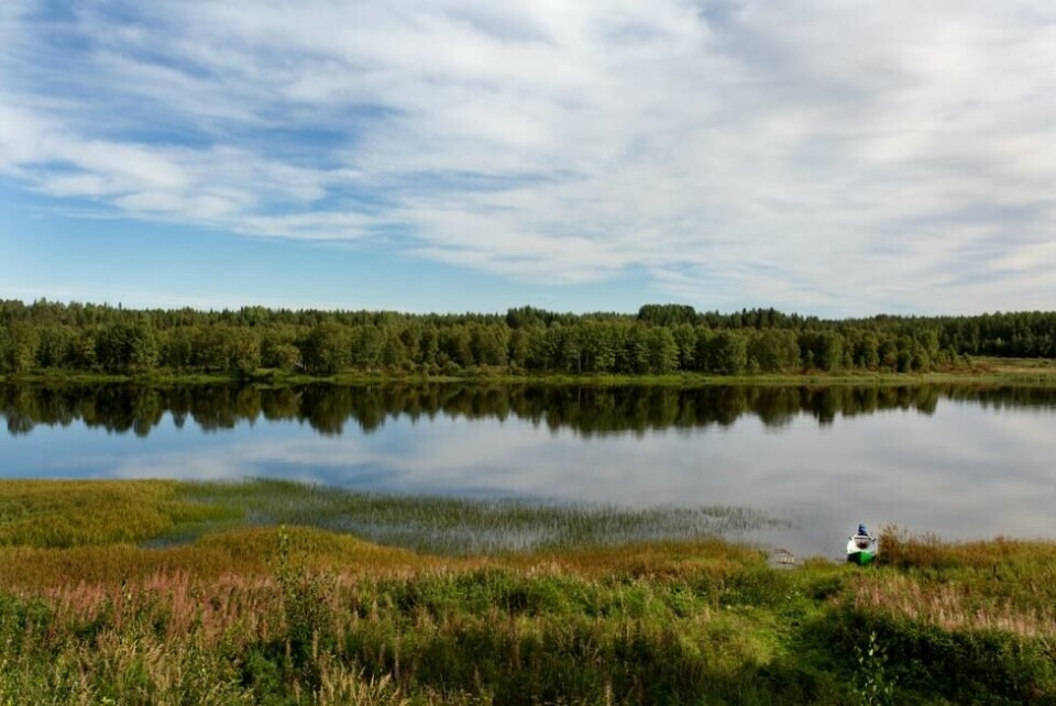 Torneälven skiller Sverige og Finland i lange strekninger. Det er mange flotte rasteplasser med beroligende utsikt. Torneälven skiller Sverige og Finland i lange strekninger. Det er mange flotte rasteplasser med beroligende utsikt. Foto: Jerker Andersson / Imagebank.sweden.se